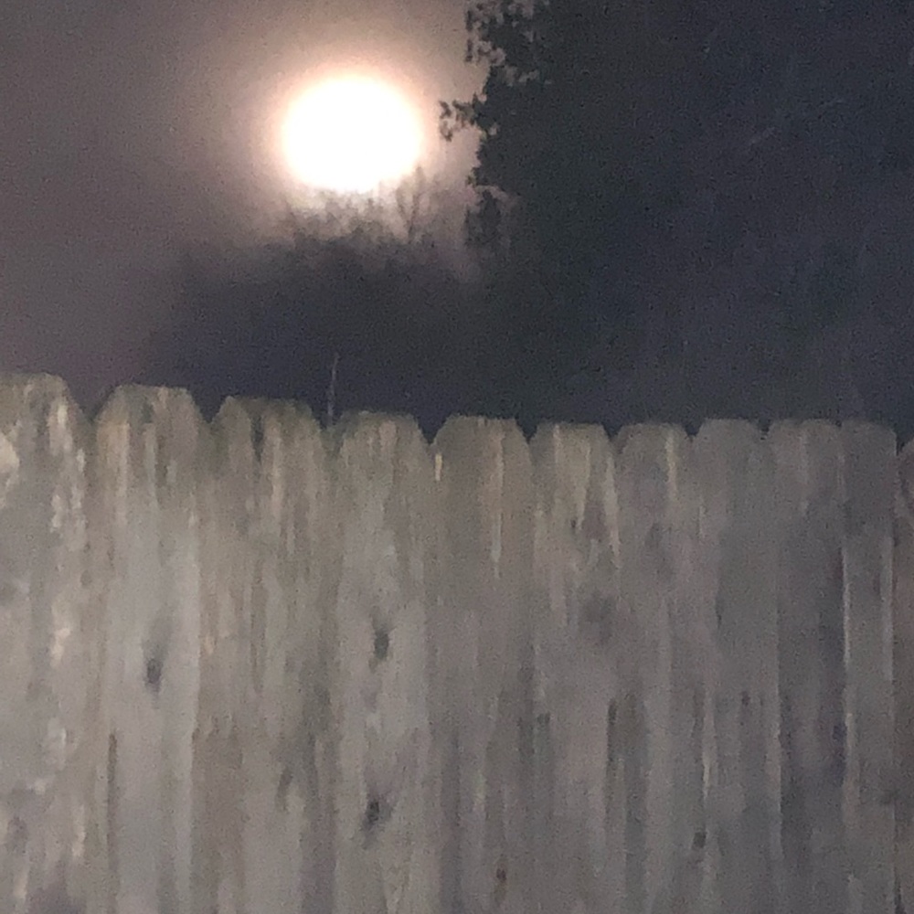 Meet your Posher, Ann